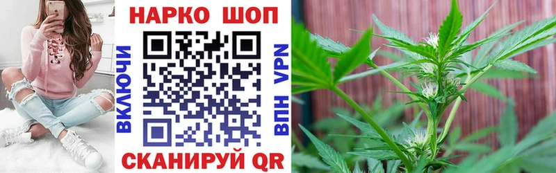 Где продают наркотики Тосно АМФ  Бошки Шишки  Кокаин  СОЛЬ 