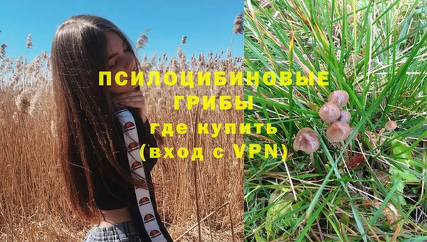 гидропоника Богданович