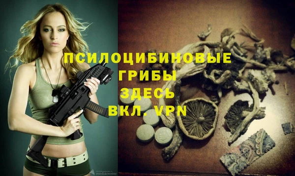 скорость mdpv Богородицк