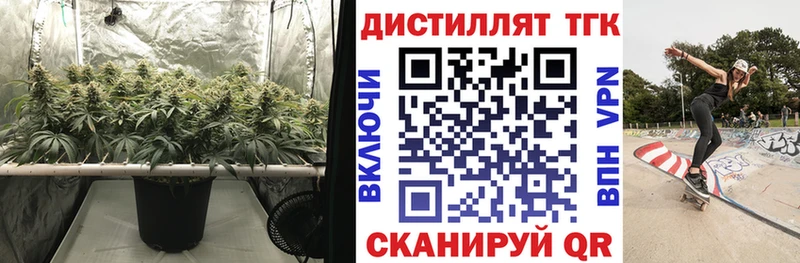 наркотики  Тосно  ТГК THC oil 