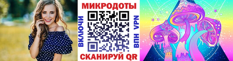 kraken tor  Тосно  Галлюциногенные грибы Psilocybine cubensis 